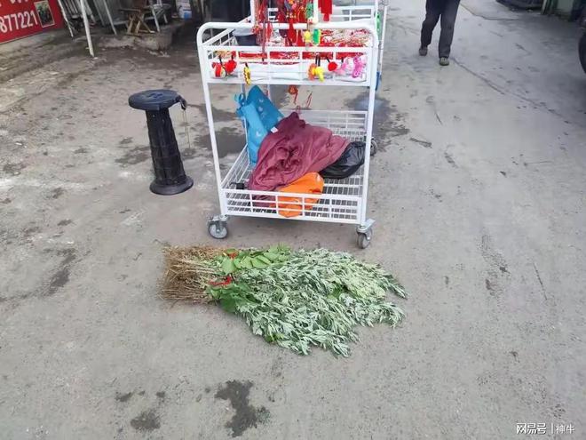 假期最不能做的5件事別忘了告訴家人AG真人旗艦廳不是迷信！端午三天(圖2)