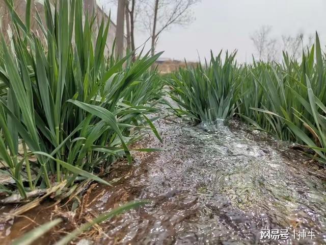 假期最不能做的5件事別忘了告訴家人AG真人旗艦廳不是迷信!端午三天(圖4) 假期最不能做的5件事別忘了告訴家人AG真人旗艦廳不是迷信!端午三天(圖4)
