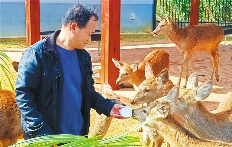 發展產業調研】林下生金AG真人app【高質量(圖2) 發展產業調研】林下生金AG真人app【高質量(圖2)